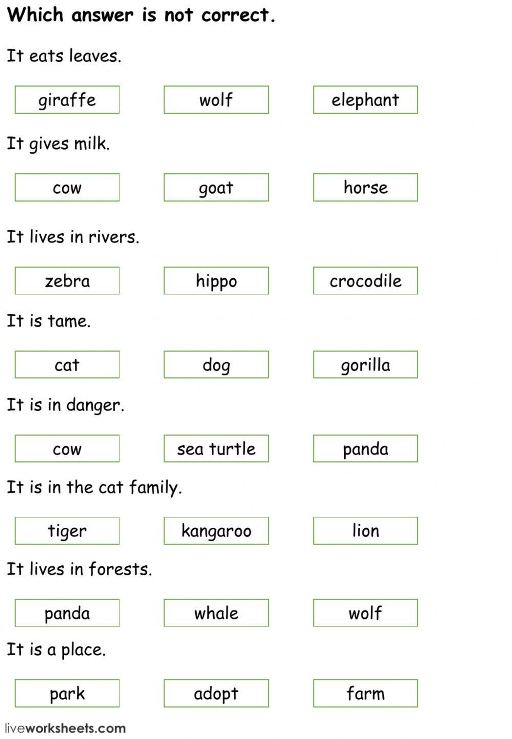 Our World Unit 3 All About Animals