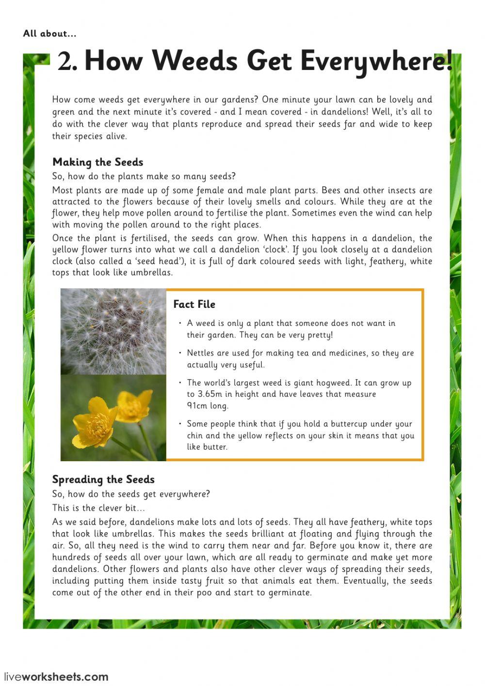 Reading comprehension 4