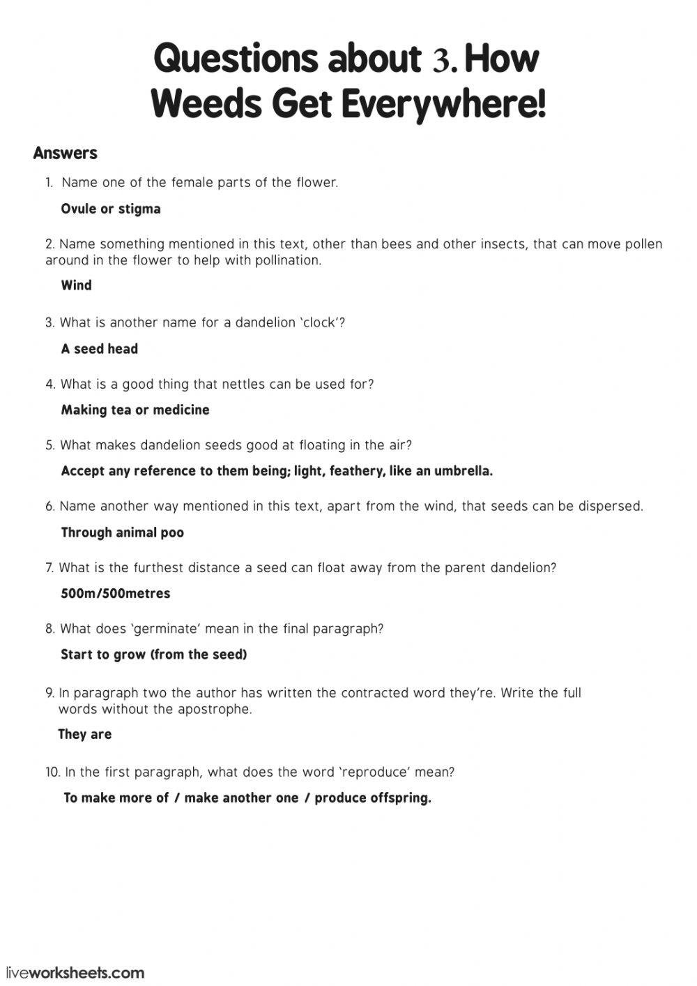 Reading comprehension 4