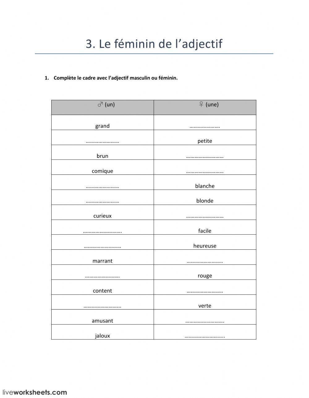 3. Le féminin de l'adjectif