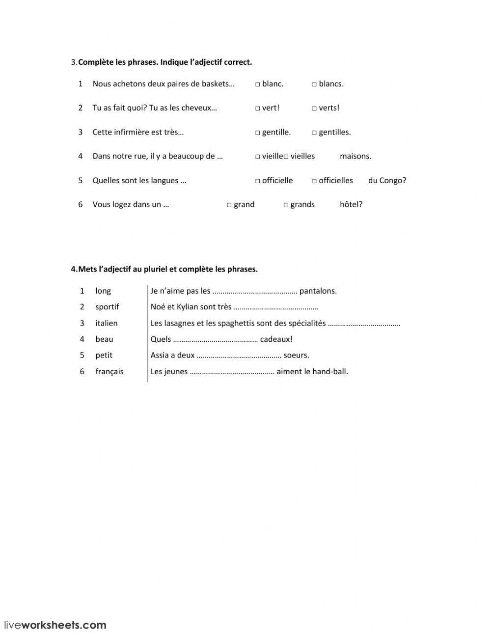 4. Le pluriel de l'adjectif