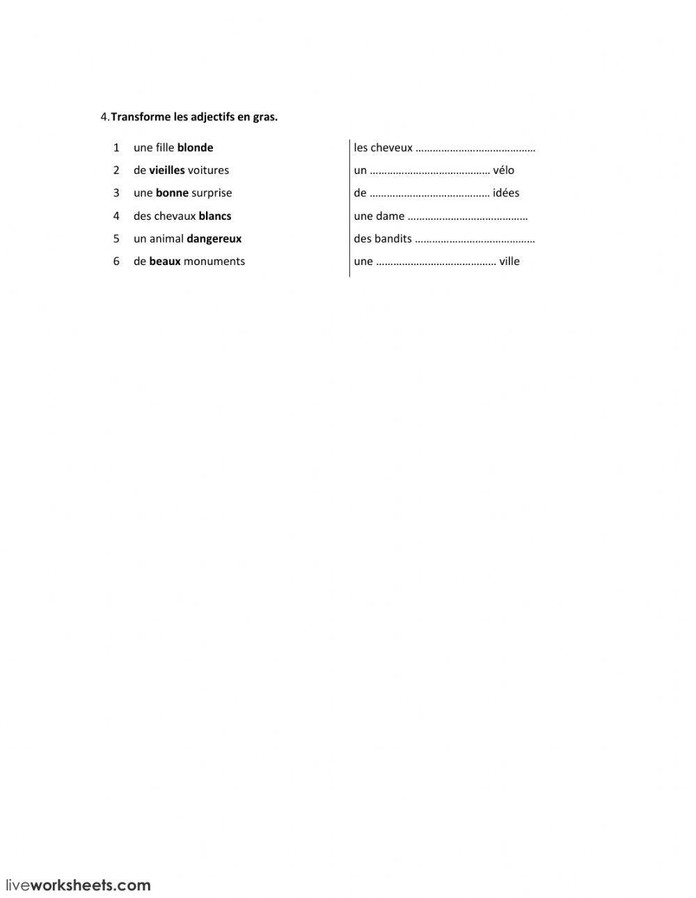 5. L'accord de l'adjectif