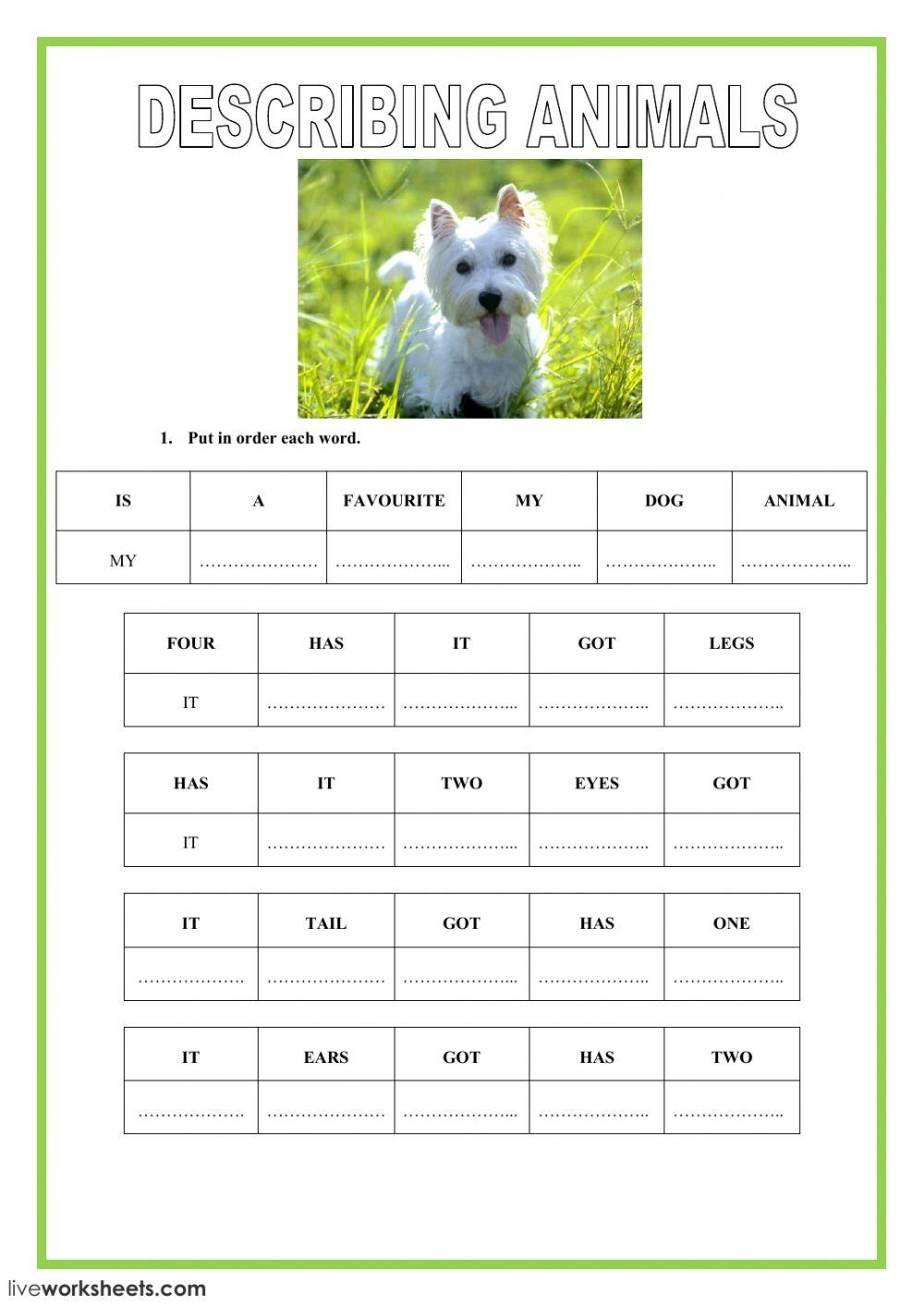 49865 Example tallin LOURDES LiveWorksheets