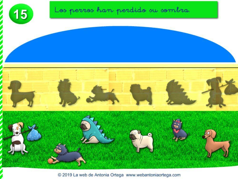 Los perros han perdido su sombra.