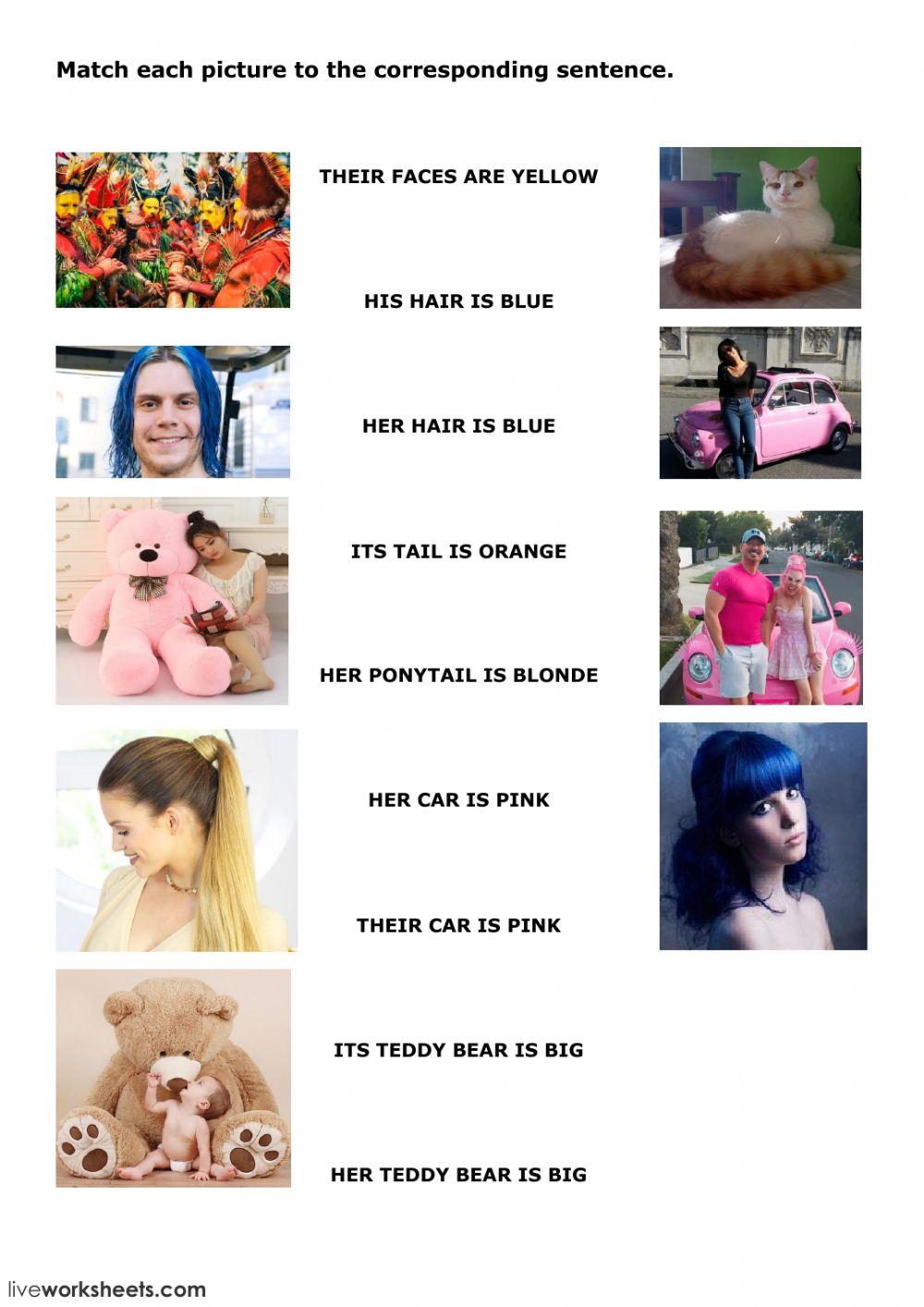 Possessive Adjectives