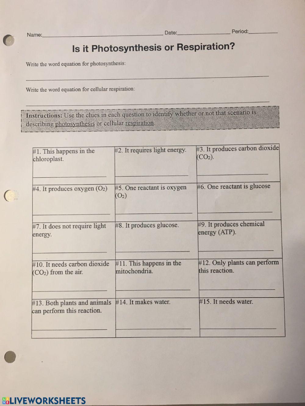 PS.vs CR Review Sheet