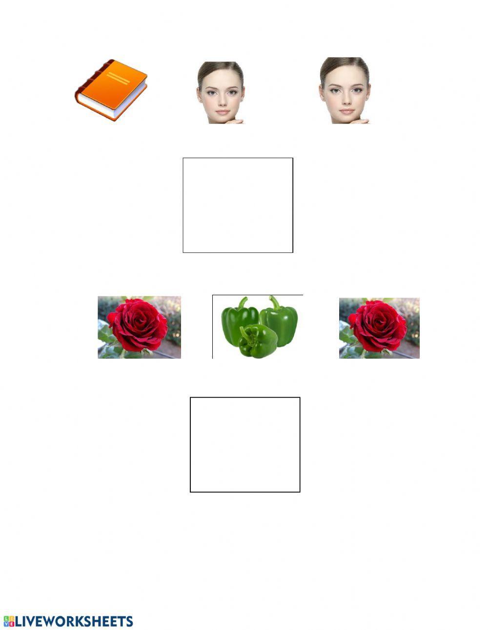 Find the different object 5 worksheet live worksheets