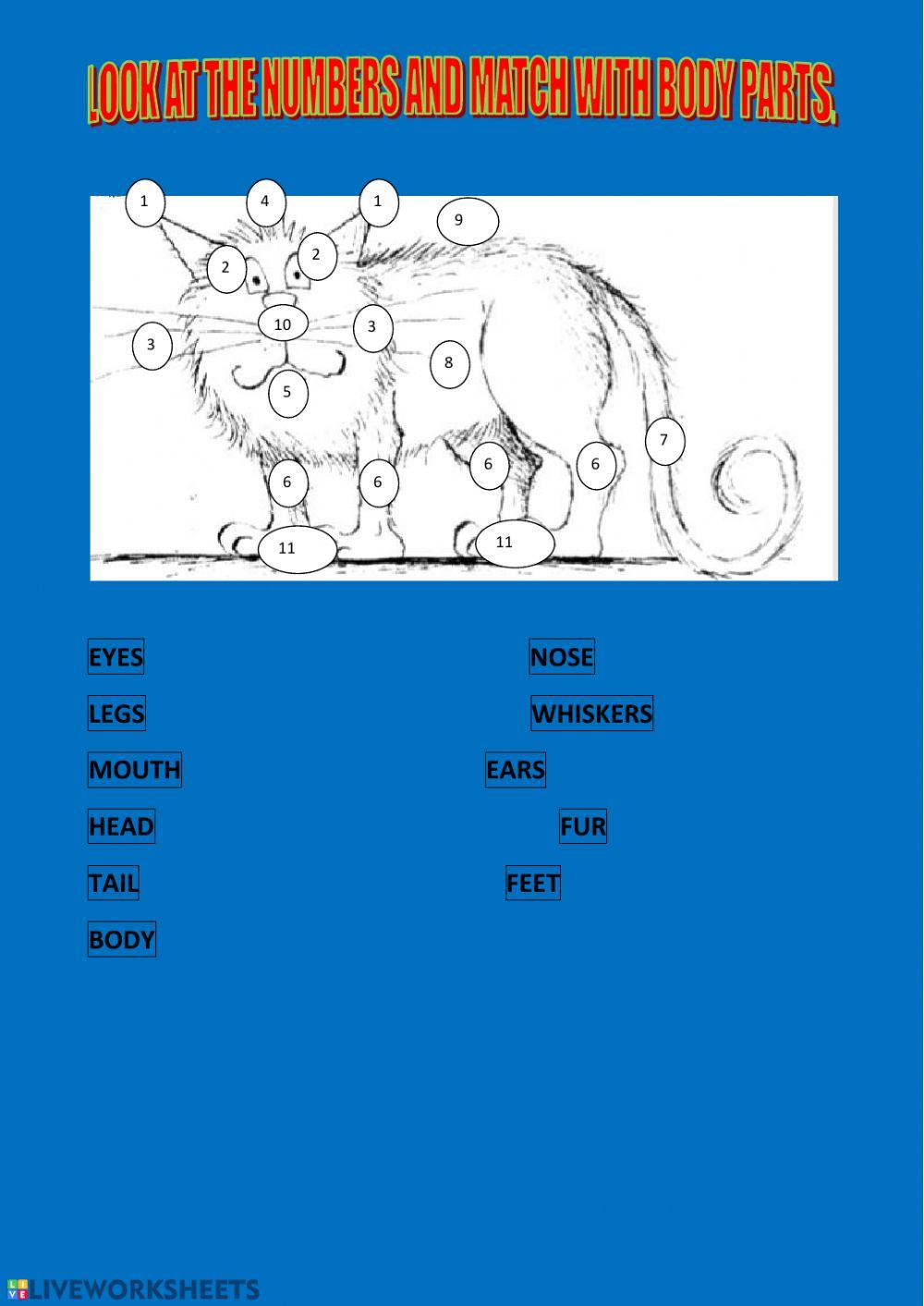 Wilbur  and his body parts