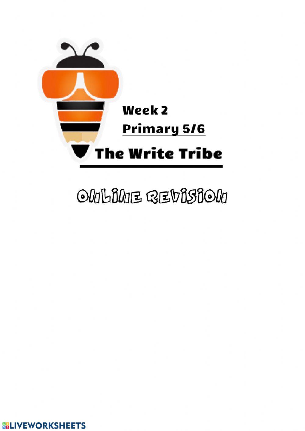 Week 2 P5-6 (Online)