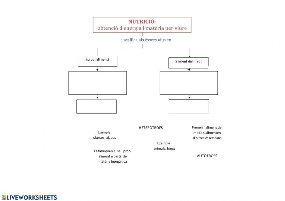 CARACTERÍSTIQUES DELS ÉSSERS VIUS