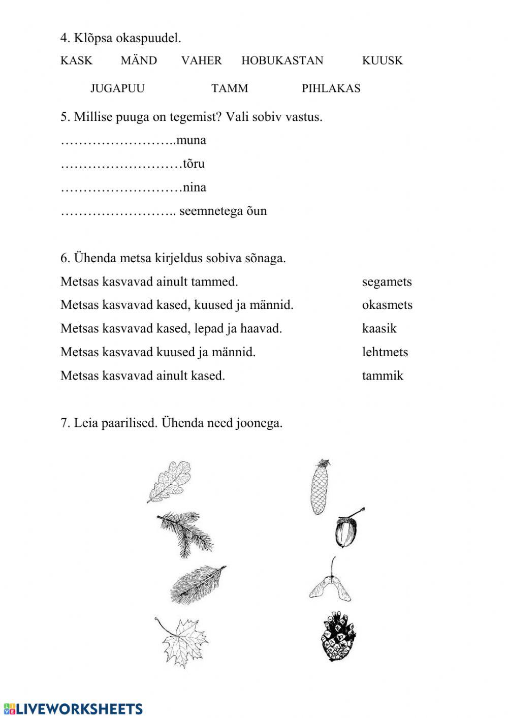Mets. Okaspuud:Lehtpuud.