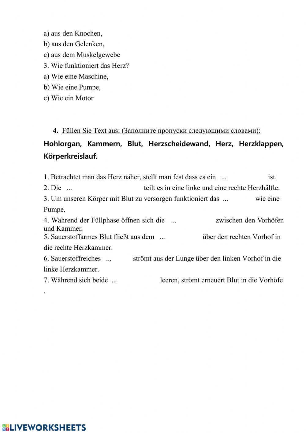 Aufbau und Funktion des Herzens