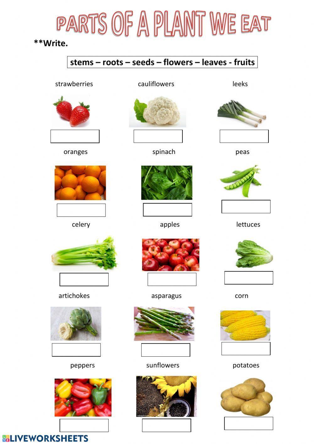 54461-parts-of-a-plant-we-eat-pisiflor