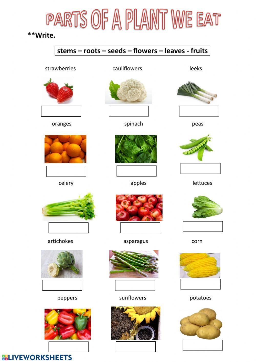 Parts of a plant we eat