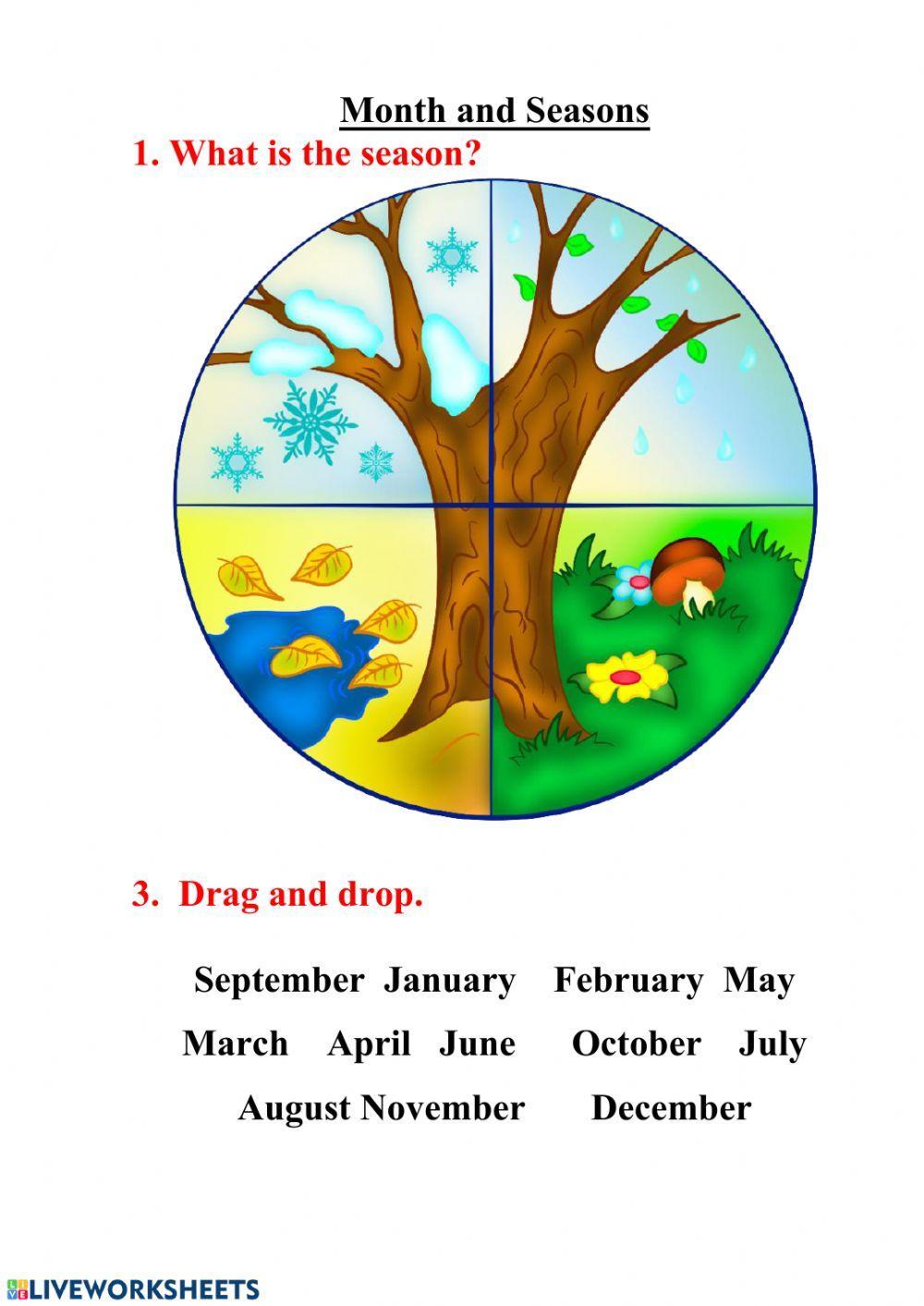 Months worksheets for kids. Времена года. Времена года картинки. Месяца Worksheets. Seasons and months задания.