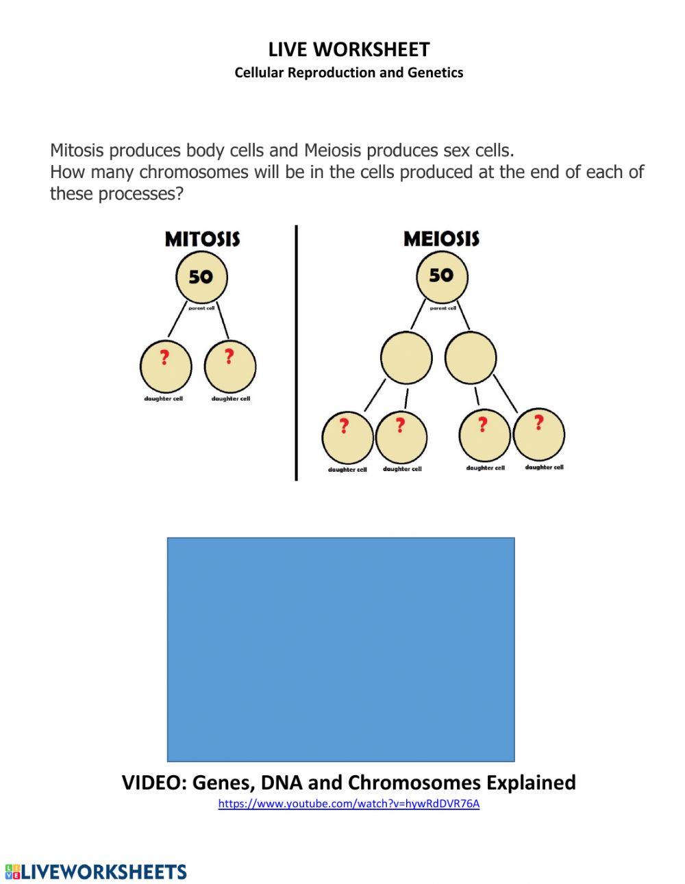 LIVE WORKSHEET: Cellular Reproduction and Genetics