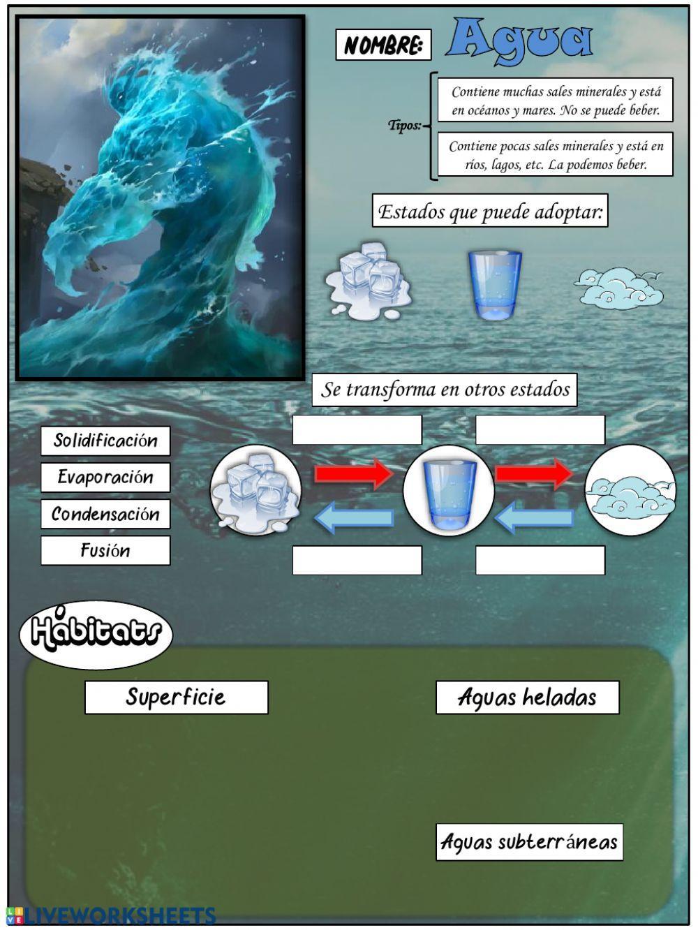 El agua en la Tierra