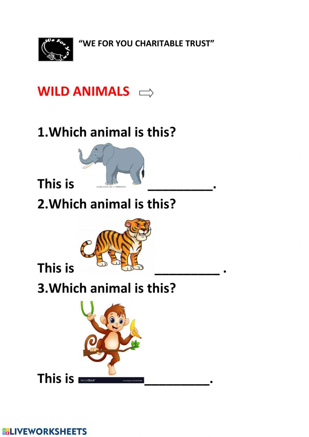 Wild Animals