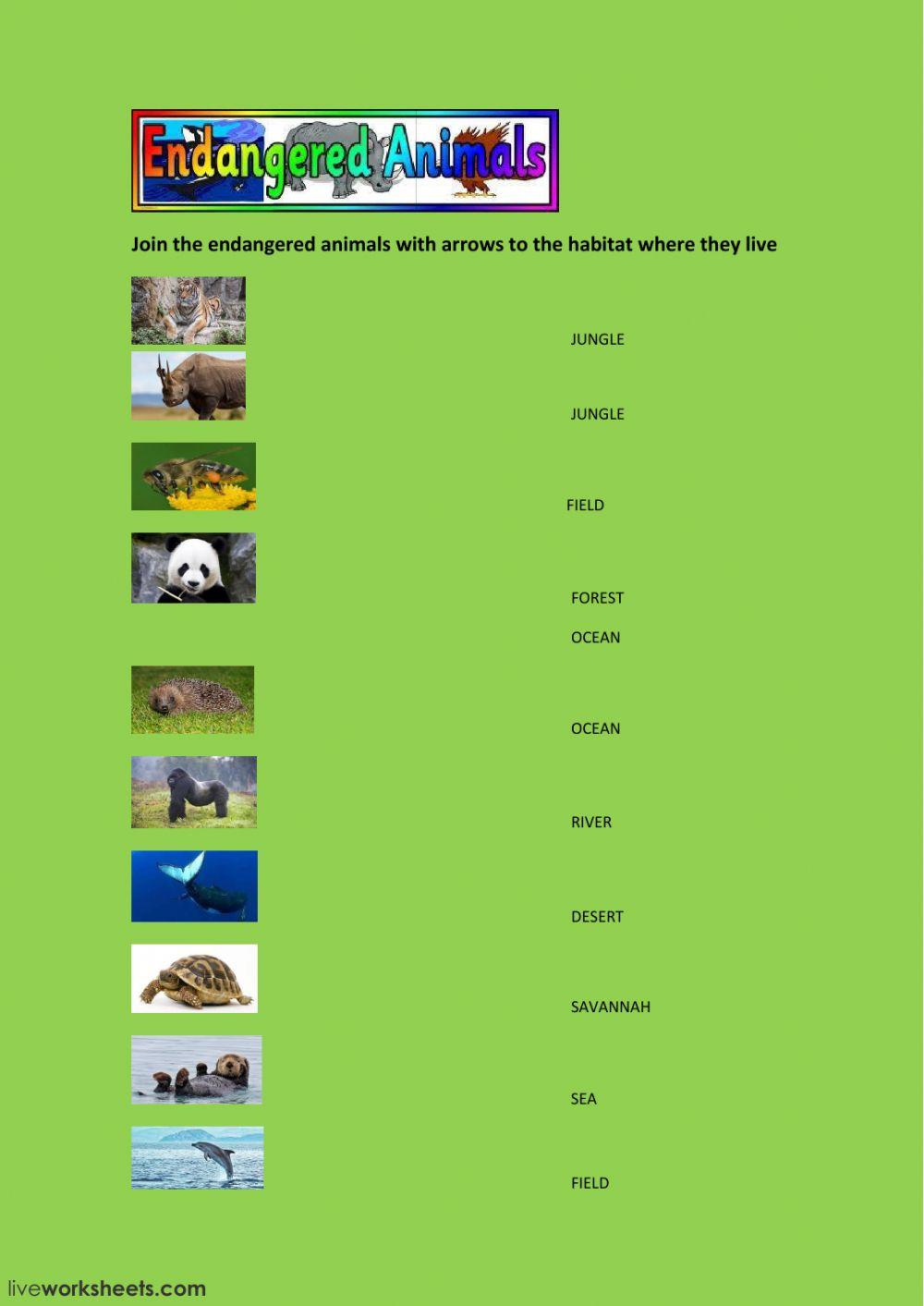ANIMALS: endangered interactive worksheet | Live Worksheets