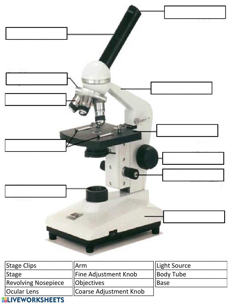 Microscope