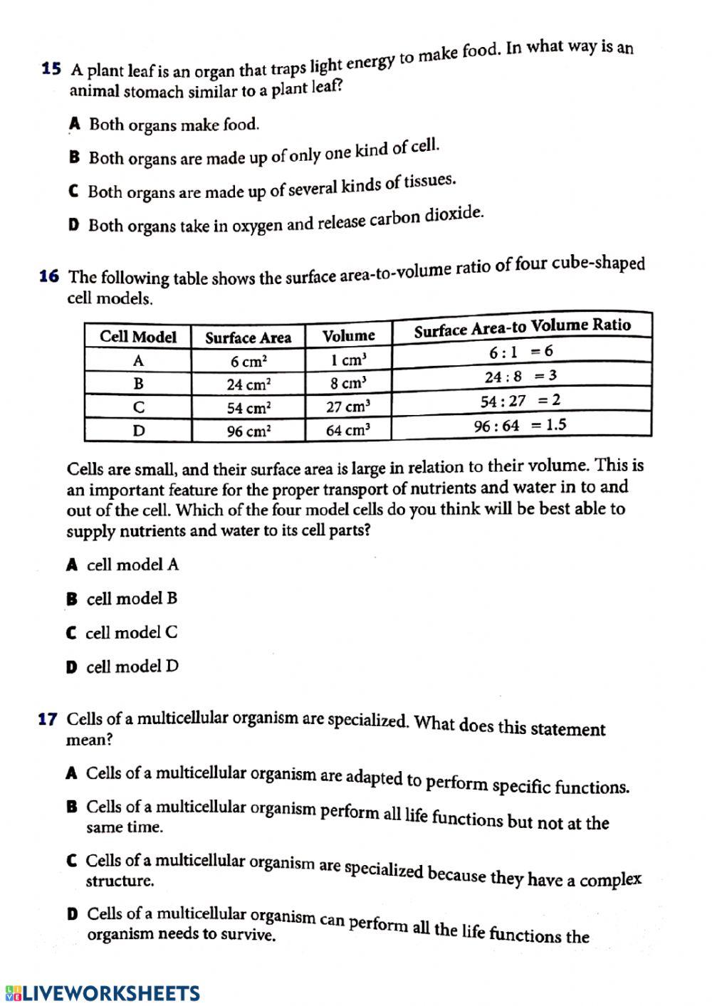 Science review term one