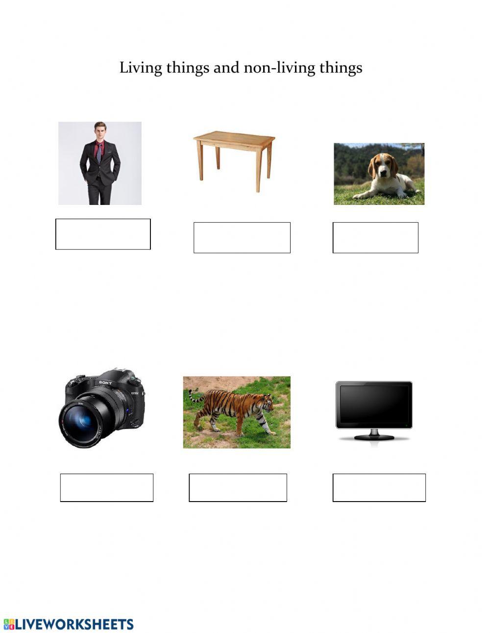 Living things and non living things