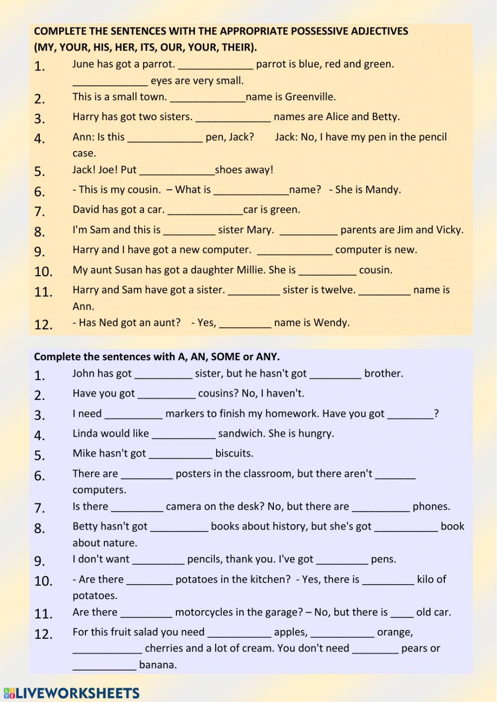 Possessive adjectives, a-an, some, any