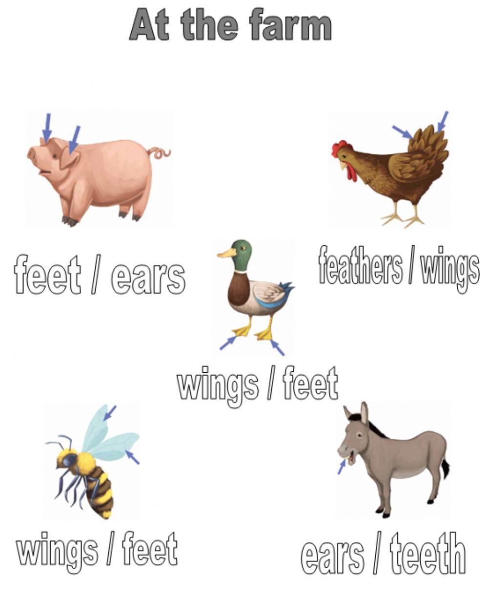 At the farm. Select.