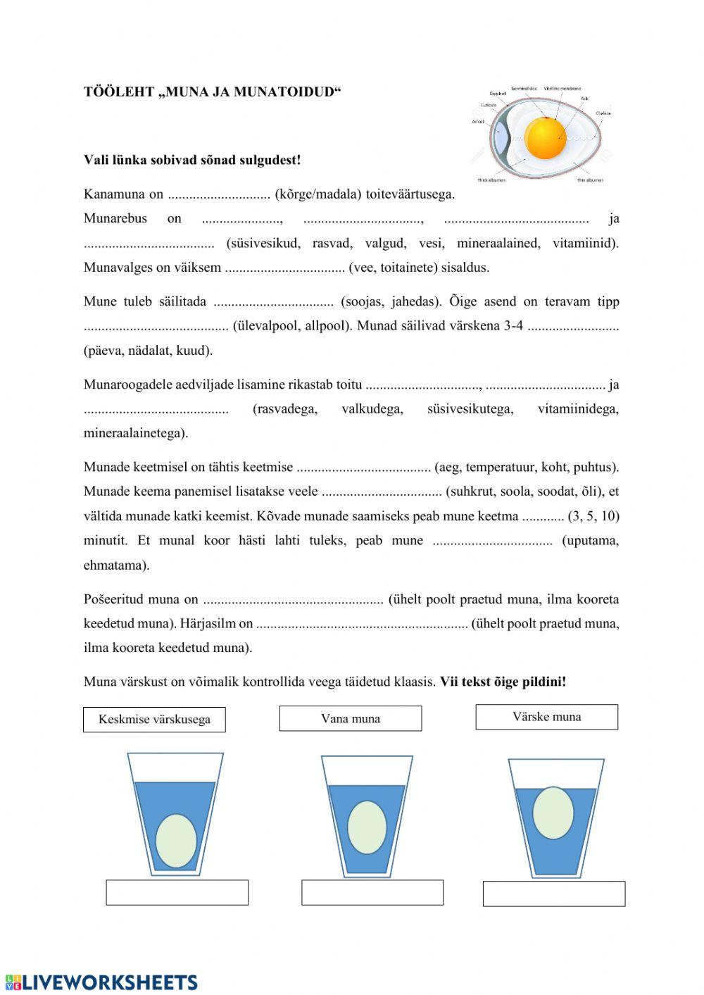 Tööleht. Muna ja munatoidud
