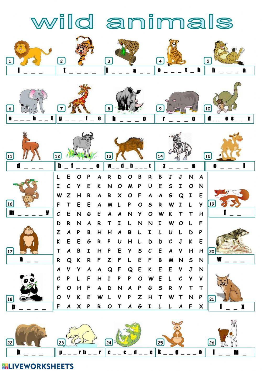 Find the animals!