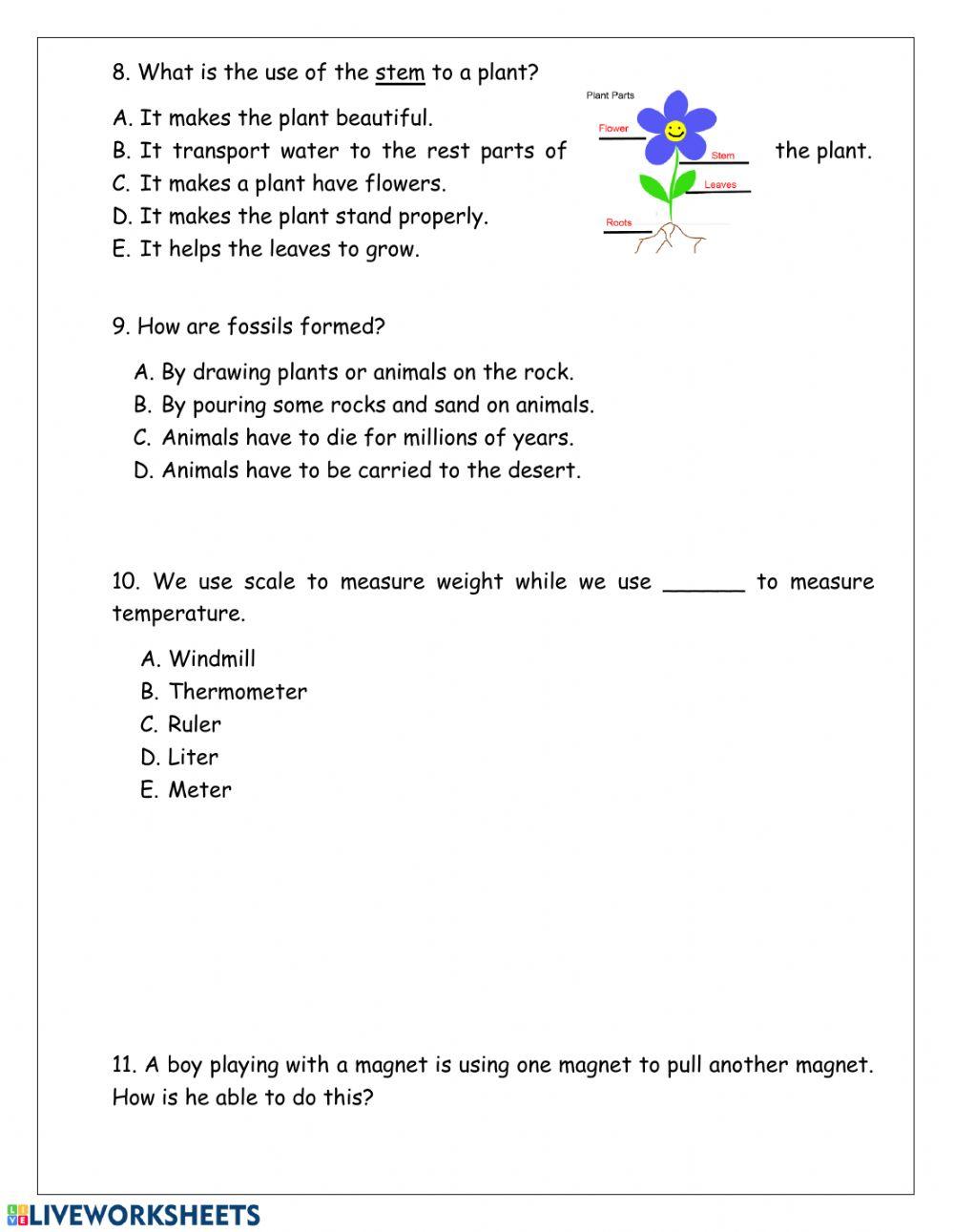 Science Revision 1
