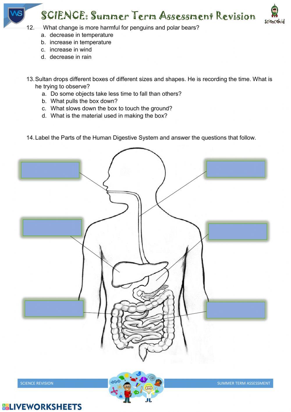 Grade 3 Science