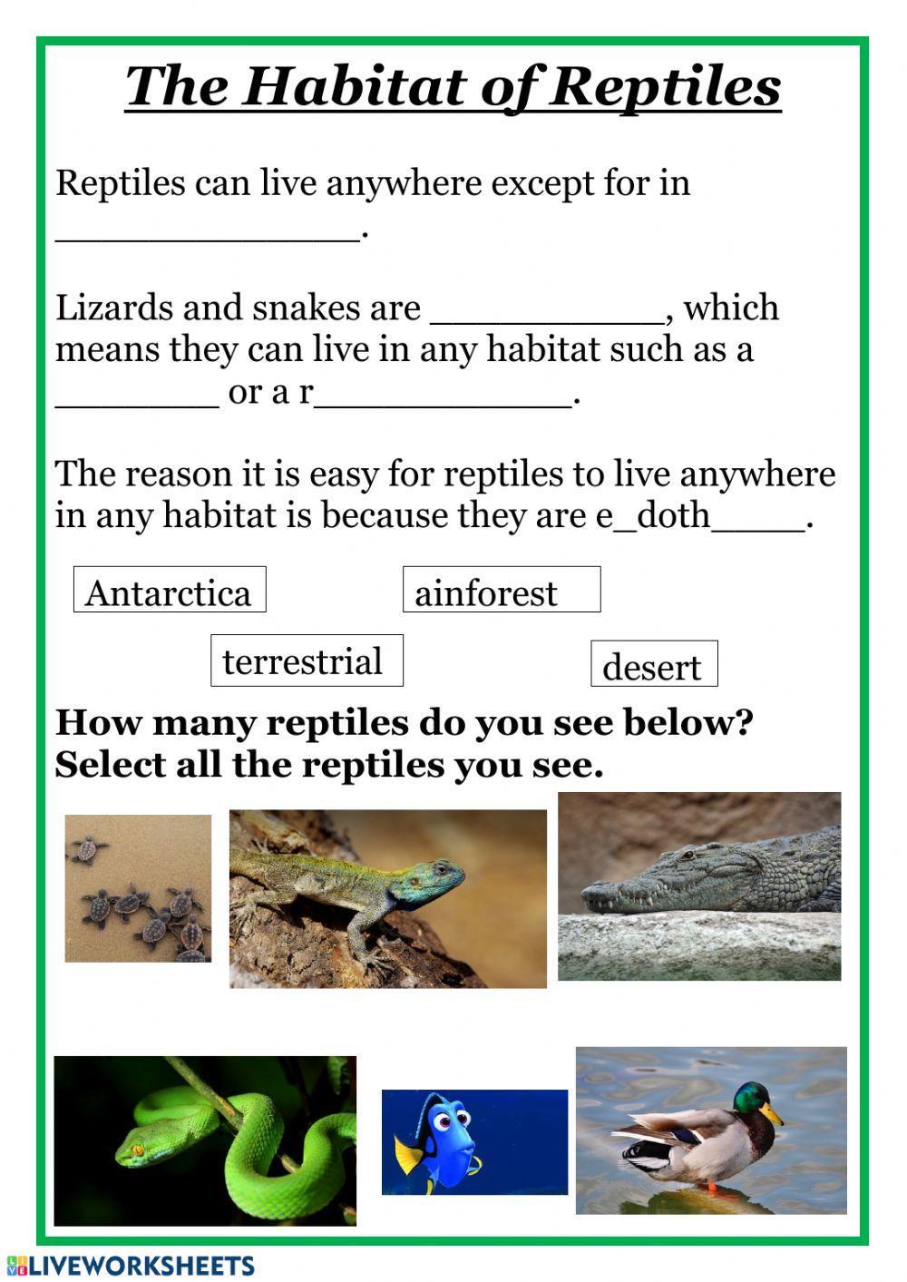 The Habitat of Reptiles