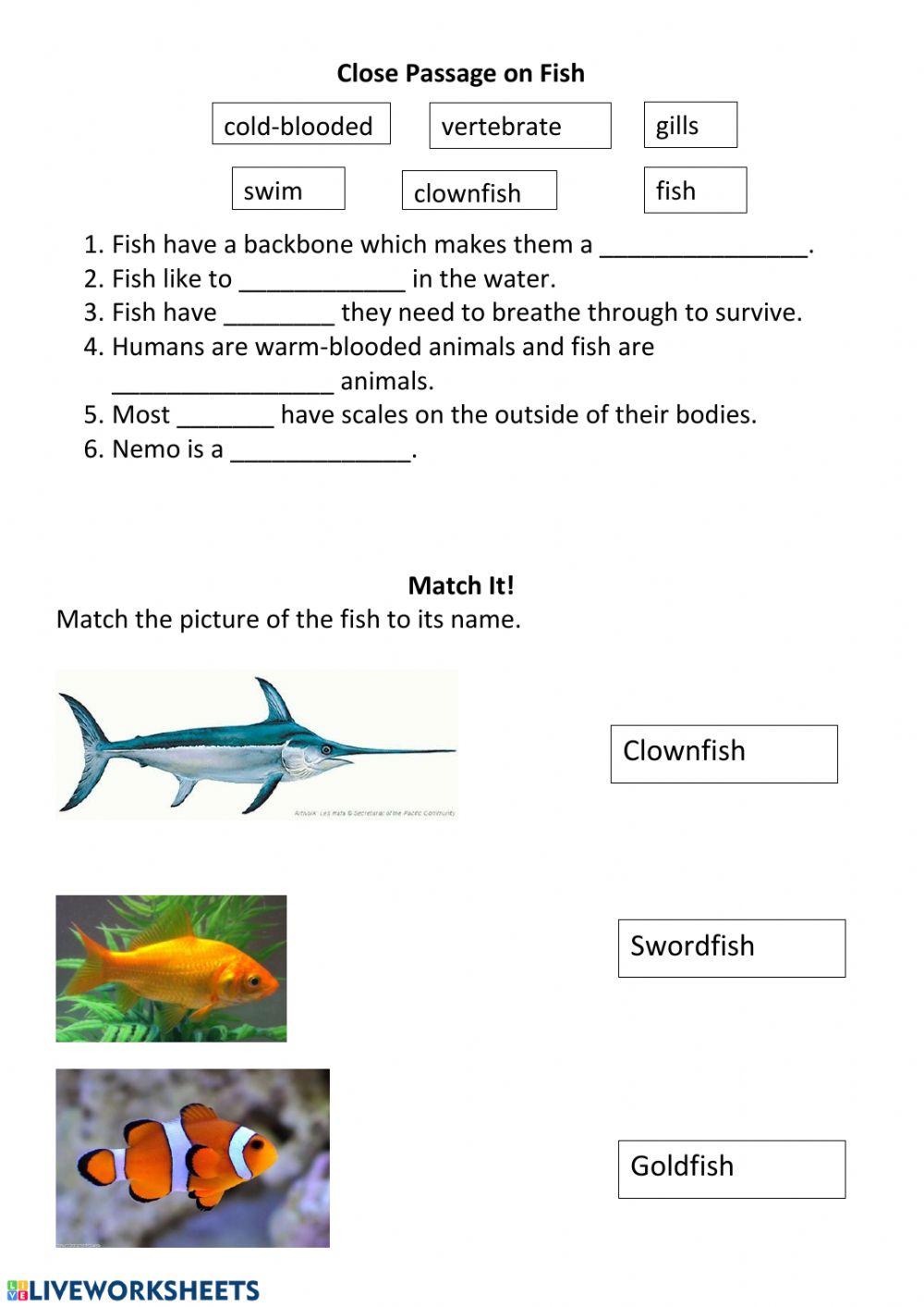 Fish Worksheet