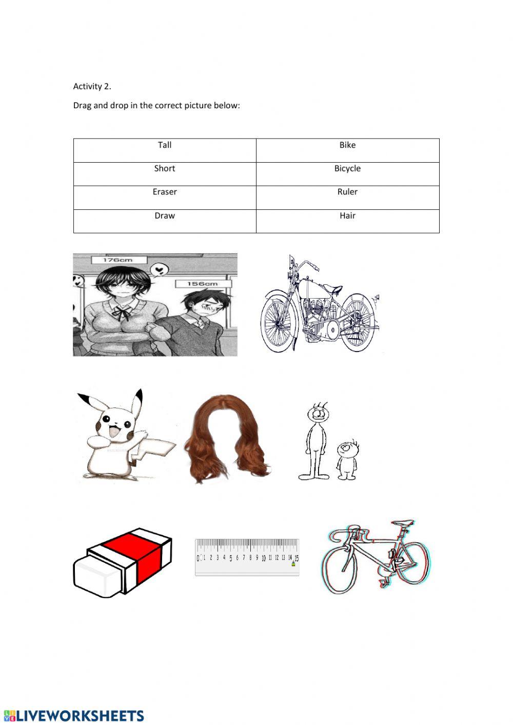 Vocabulary Activities