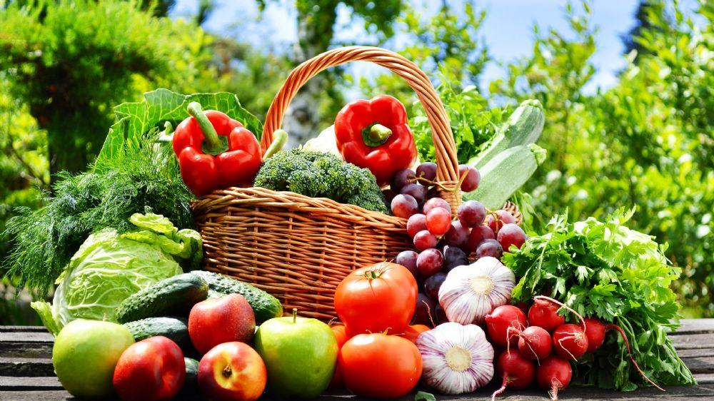 Vocabulario de comida