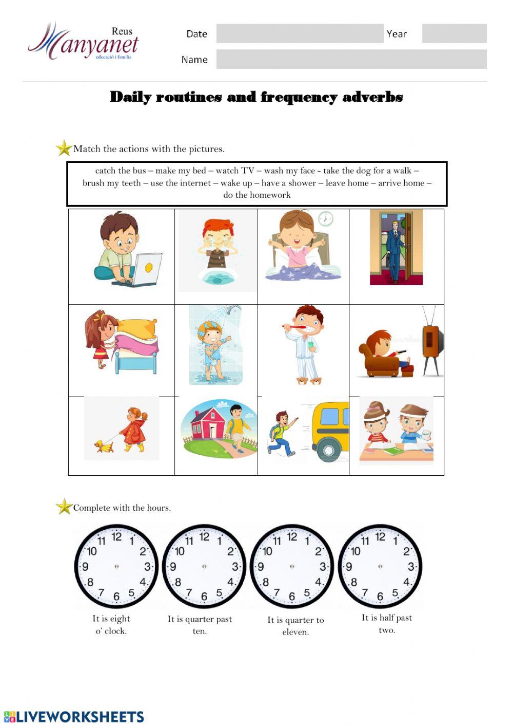 Daily routines and frequency adverbs