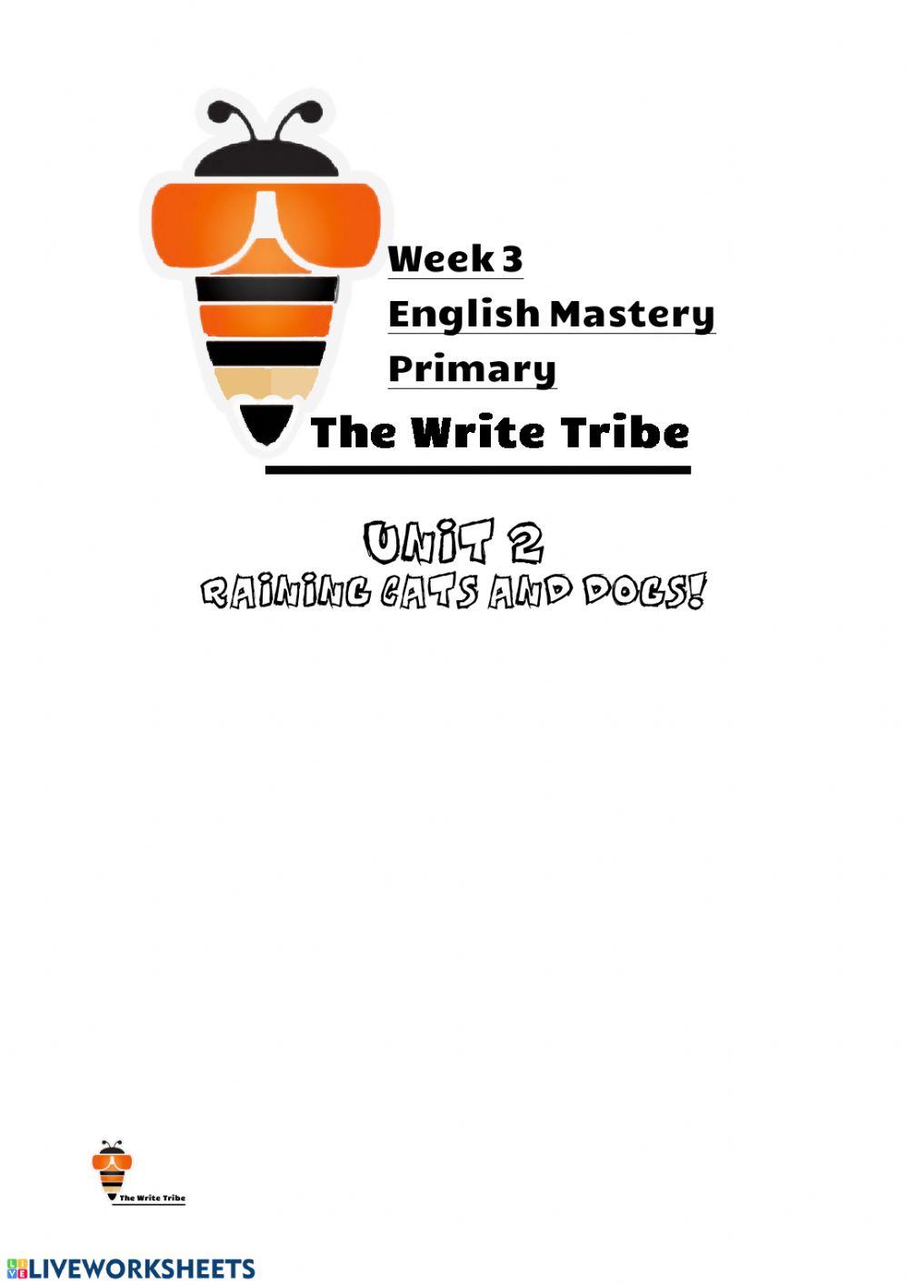 Week 3 - English Mastery