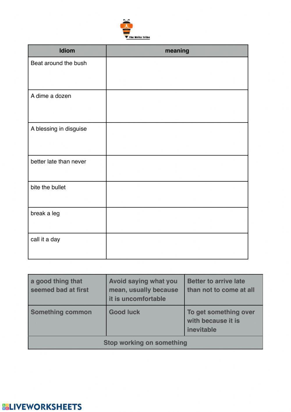 Idiom challenge p3-6