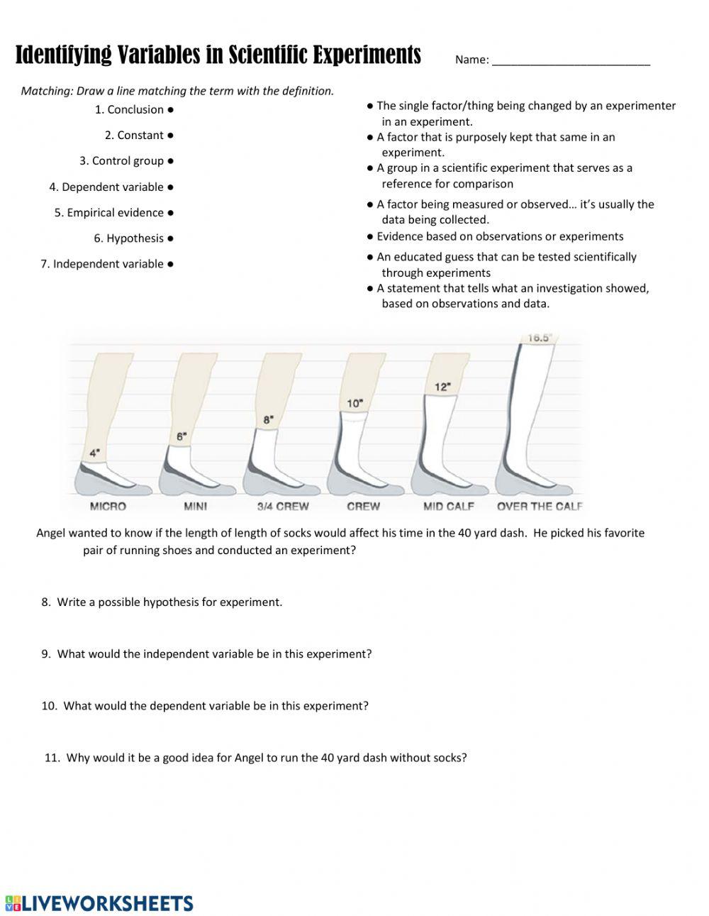 Identifying variables worksheet