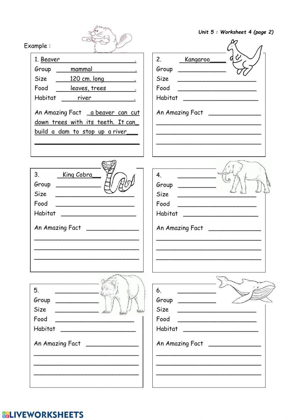 Amazing Facts of Animals