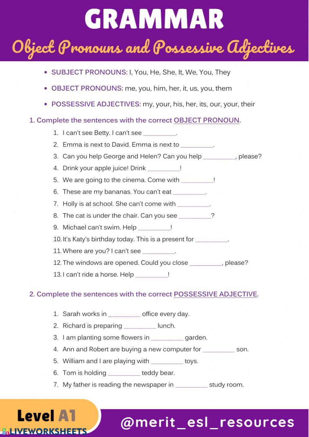 Object Pronouns and Possessive Adjectives Object Pronouns and Possessive Adjectives