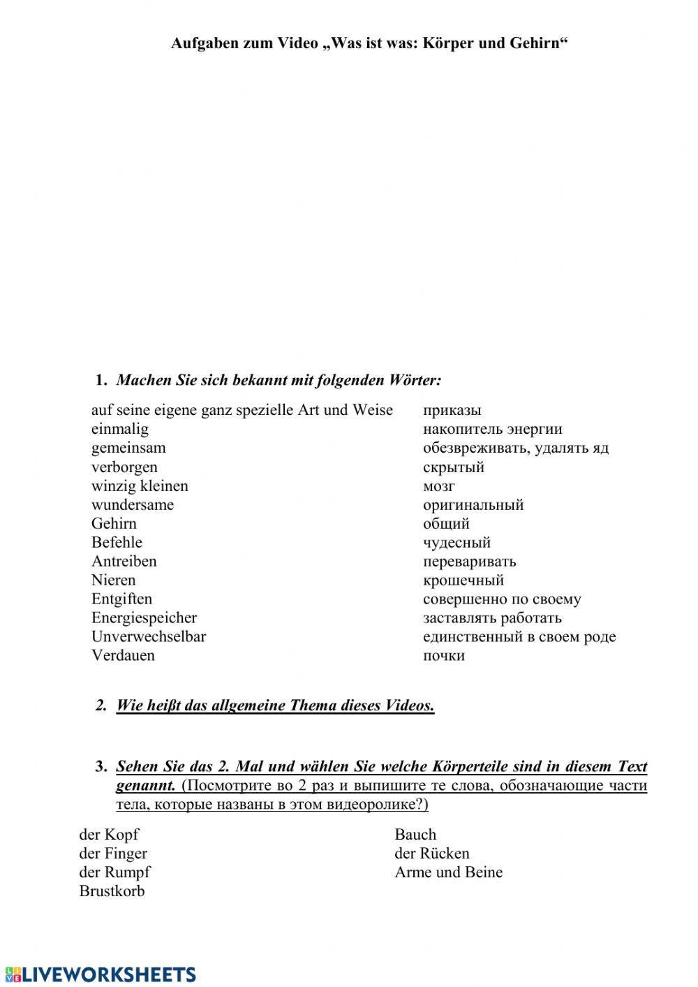 Videoaufgaben: Körper und Gehirn