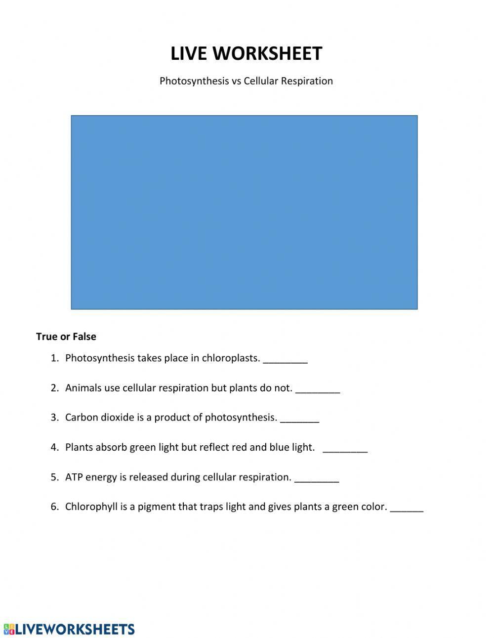 Live Work Sheet: Photosynthesis vs Cellular Respiration