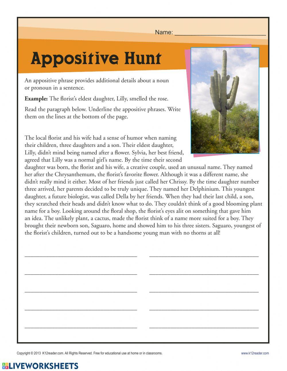 Appositive Phrase Practice online exercise for Live Worksheets