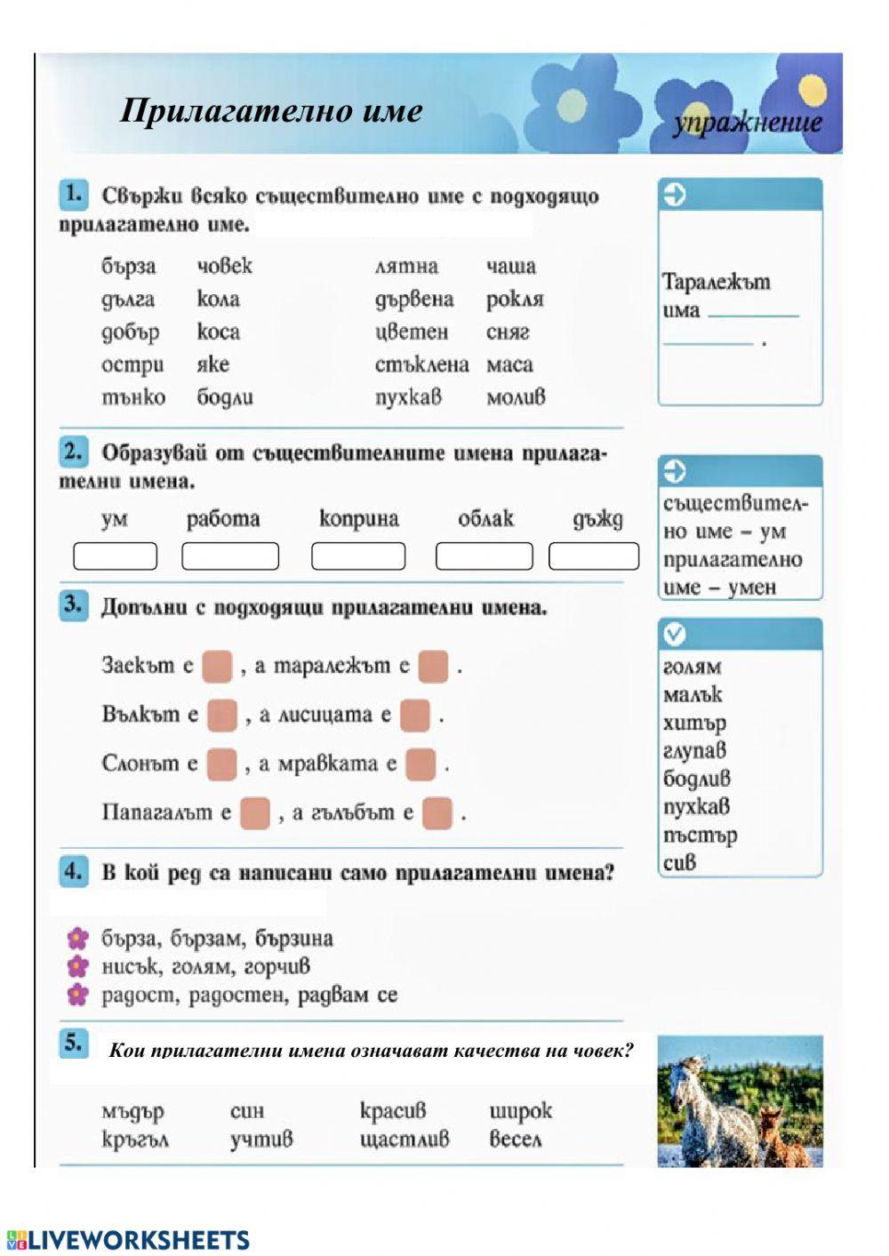 Прилагателно име