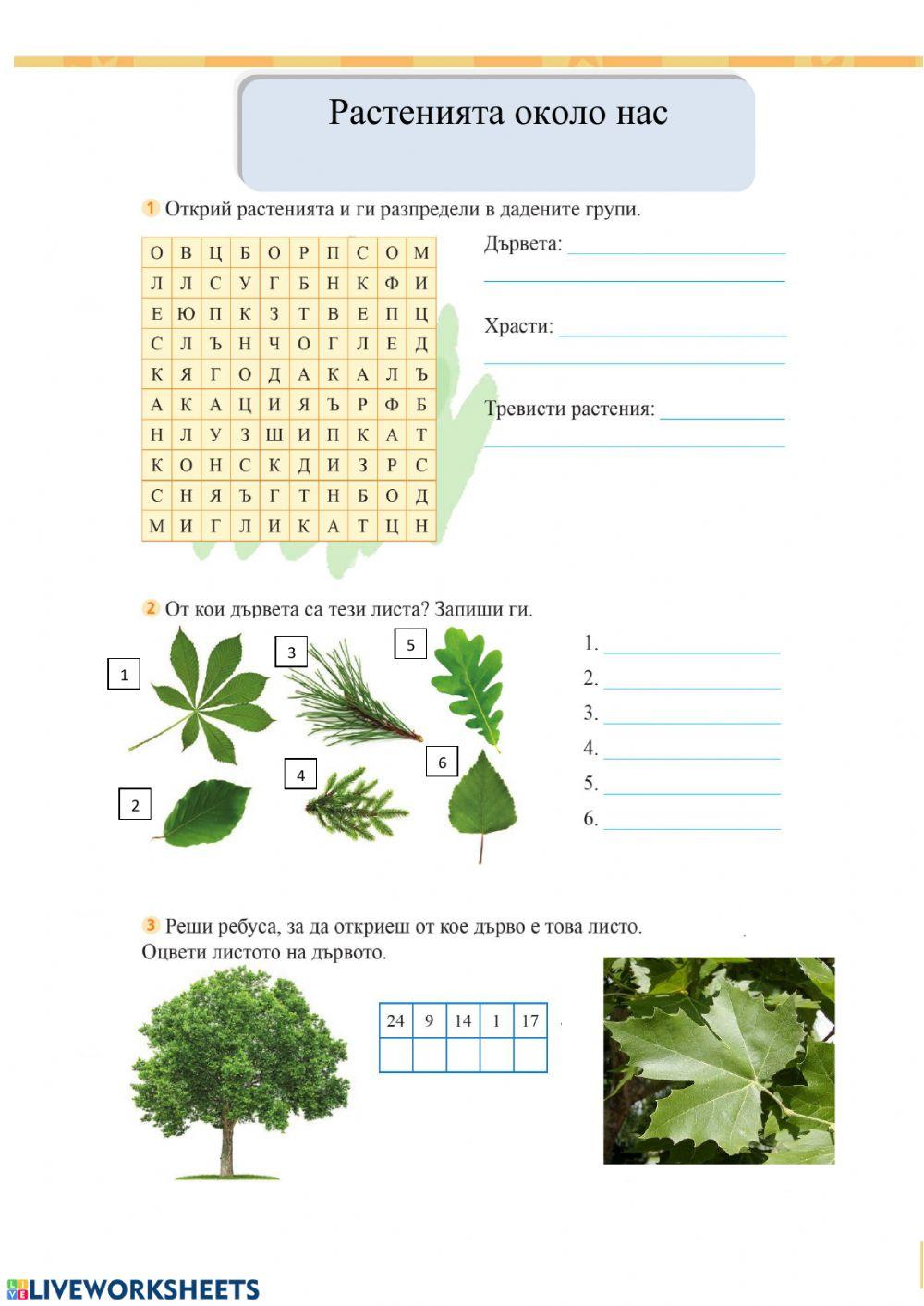 Растенията около нас