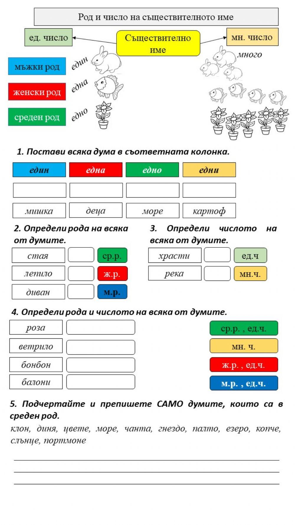 Noun Noun