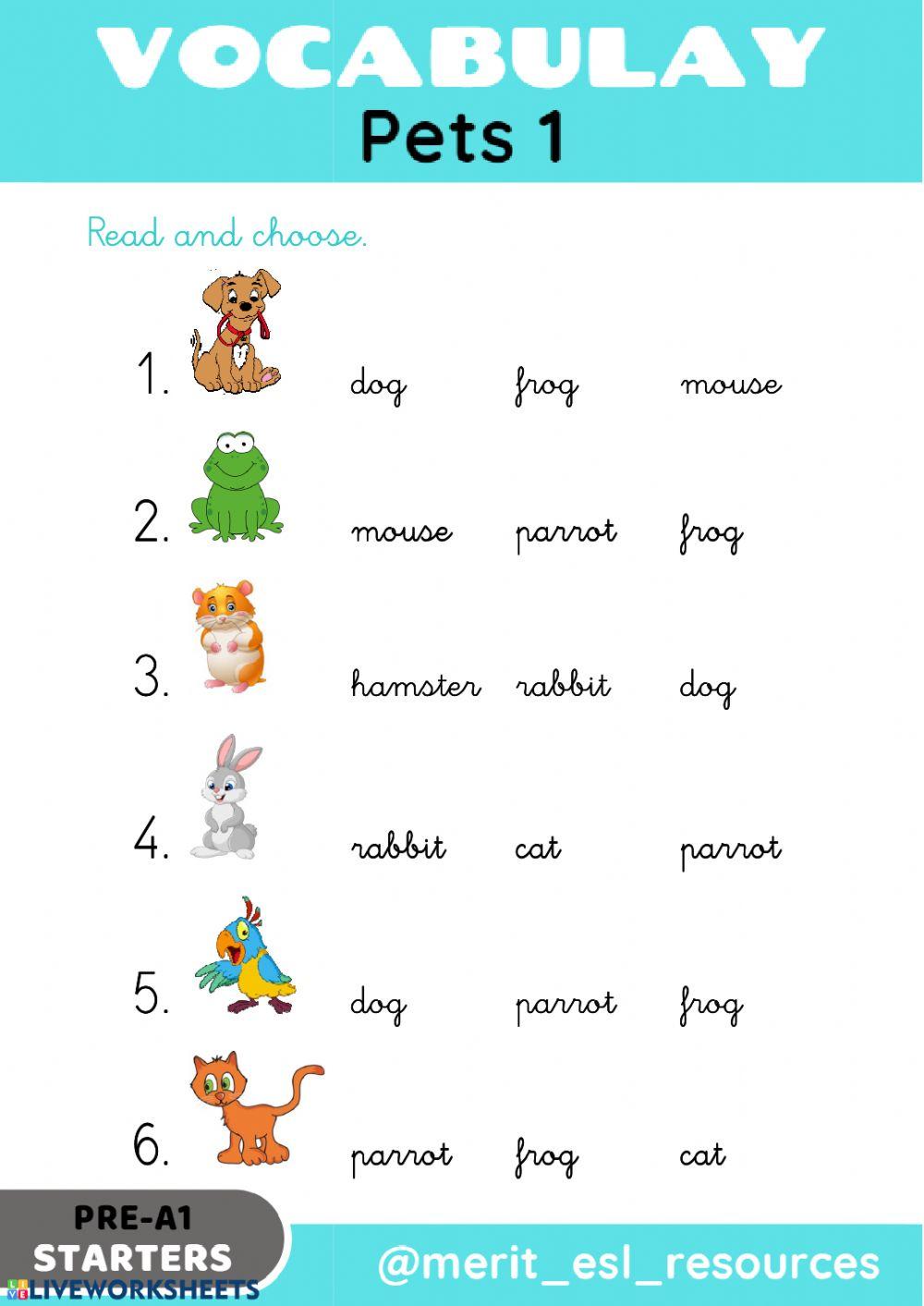 Pets - Read and choose Pets - Read and choose