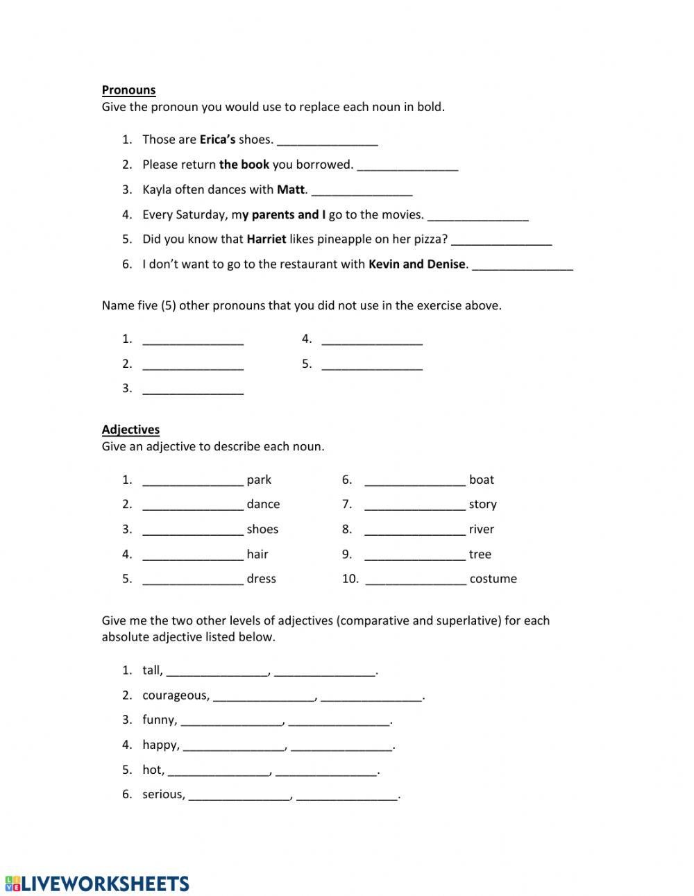 Grammar review (nouns, articles, pronouns, and adjectives)